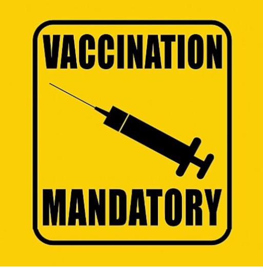 SA National Christian Forum heads to court over mandatory vaccines