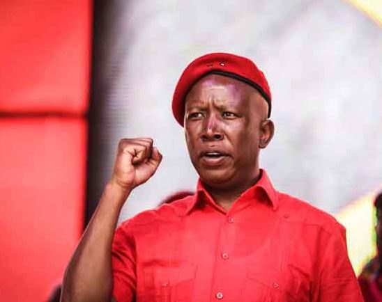 The Onus has Fallen on Julius Malema to defend our heritage