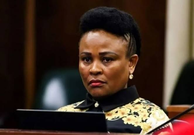 the-public-protector-impeachment-is-a-profile-in-dishonesty