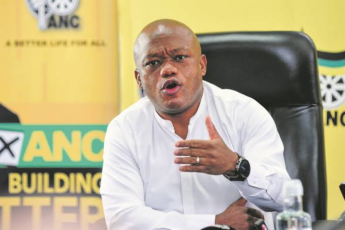 Sihle Zikalala quit because he feared new leadership might humiliate him, say sources