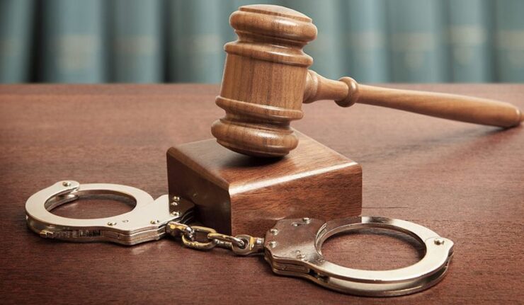 Zama Zama sentenced to life for murder of metro police officer